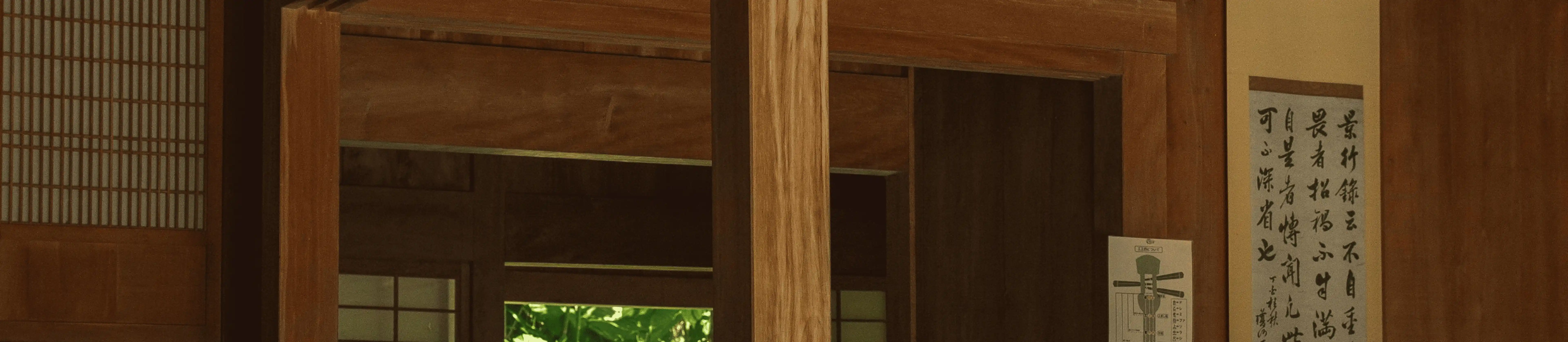 About Sora Tour Background